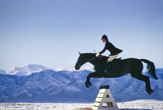 Equestrian and Horse jumping over Obstacle