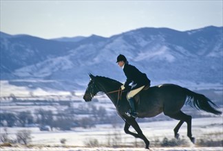 Equestrian riding Horse