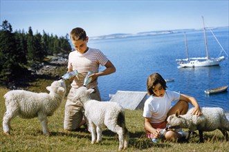Young Boy and Girl feeding Lambs