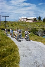 Group of Teenagers riding Bicycles