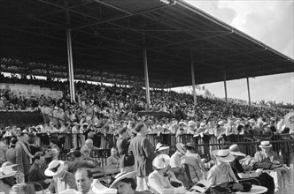 Crowd at Horse Race