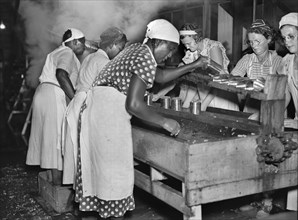 Migrant Workers at Vegetable Canning Plant