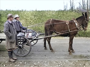 Two Farmers with Mule-Drawn Wagon