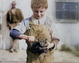 Young Oyster Shucker