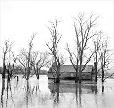 Flood waters of the Shenandoah River covering farm