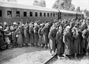 Italian prisoners of war detraining at Wadi al-Sarar Railway Station