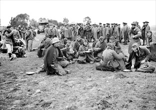 Italian prisoners of war eating a meal after detraining at Wadi al-Sarar Railway Station