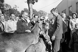 Massachusetts Senator John F. Kennedy with crowd and two donkeys during his presidential campaign