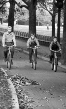 Man and two boys riding bicycles through Central Park