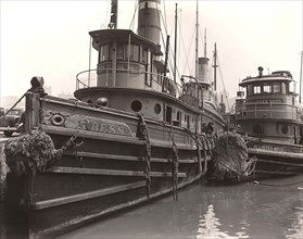 Tugboats, Pier 11, East River, New York City, New York, USA, Berenice Abbott, Federal Art Project,