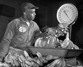 Eugene Smallwood, an employee at Curatolo Banana Corp. weighing bananas, New York City, New York,