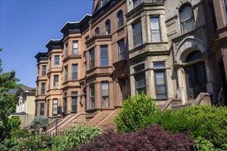 Row of brownstone houses, MacDonough Street, Bedford-Stuyvesant, Brooklyn, New York City, New York,