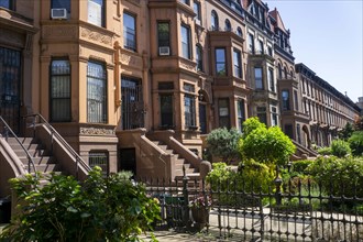 Row of brownstone houses, MacDonough Street, Bedford-Stuyvesant, Brooklyn, New York City, New York,