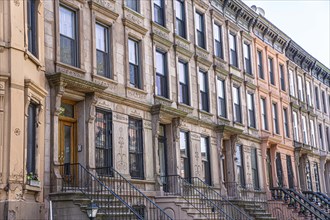 Row of brownstone houses, MacDonough Street, Bedford-Stuyvesant, Brooklyn, New York City, New York,