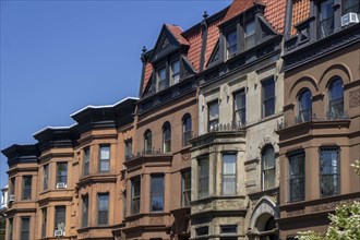 Row of brownstone houses, MacDonough Street, Bedford-Stuyvesant, Brooklyn, New York City, New York,