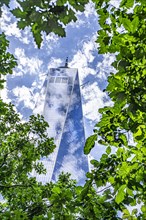 One World Trade Center, low angle view, building exterior surrounded by trees against clouds and