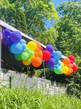 Pride rainbow balloons