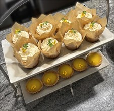 Row of pistachio cupcakes with lemon cream cheese icing (top), row of lemon tartlets (bottom)