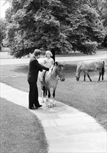 U.S. President John Kennedy with his daughter Caroline Kennedy and Caroline's pony, Macaroni, South