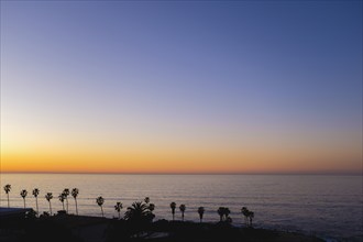 Ocean sunset with silhouettes of palm trees