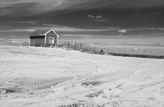 Old wood shack on sandy beach