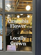 Window signs, cannabis dispensary