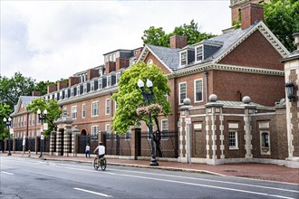 Harvard Street, street scene, Harvard University, Cambridge, Massachusetts, USA