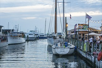 Sailboats and yachts at dock, Newport, Rhode Island, USA