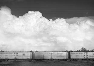 Freight cars, Camden, North Carolina, USA, Jack Delano, U.S. Farm Security Administration, July