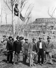 Donald Pleasence (sitting in tree), Dub Taylor (third from right), on-set of the western film, "The