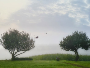 Misty morning landscape, Dordogne, France