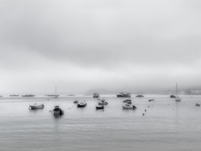 Boats moored in harbor on cloudy day, Bueu, Spain