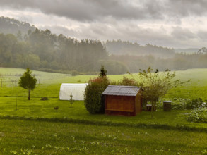 Rural landscape, Galicia, Spain