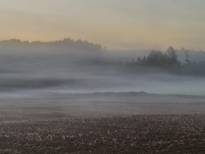 Misty landscape, Galicia, Spain