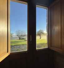 Window with morning view of misty trees and green lawn