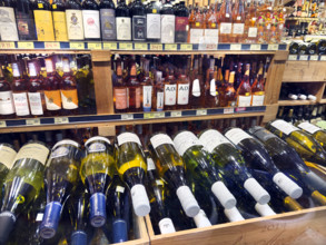 Assortment of bottles of wine in wine shop