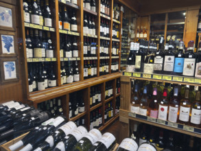 Assortment of bottles of wine in wine shop