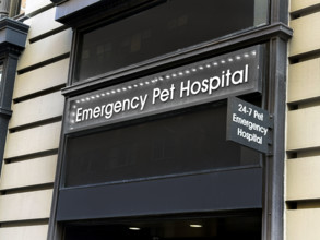 Emergency Pet Hospital, building exterior, New York City, New York, USA