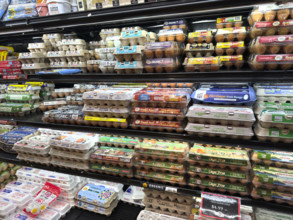 Grocery store egg section