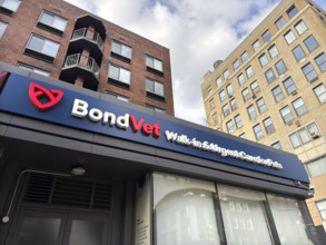 Bond Vet, low angle view of company sign above entrance, New York City, New York, USA