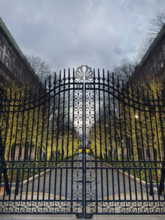 Entrance Gate at College Walk at dusk with illuminated lights wrapped around trees, Columbia