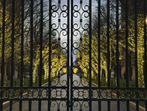 Entrance Gate at College Walk at dusk with illuminated lights wrapped around trees, Columbia