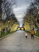 College Walk at dusk with illuminated lights wrapped around trees, Columbia University, New York