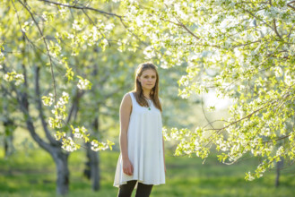 Portrait of Young adult woman in blossoming cherry orchard