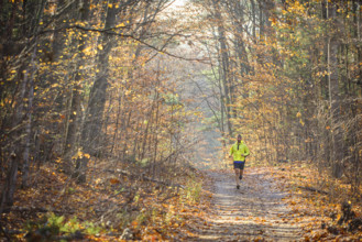 Mid-adult man running along scenic wooded path in autumn