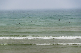 Group of surfers waiting on waves