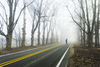 Rear view of mid-adult man skateboarding on foggy road