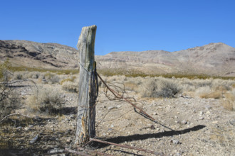 Old barbed wire fence post in ghost town, Rhyolite, Nevada, USA