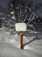 Signpost and trees covered in snow at night