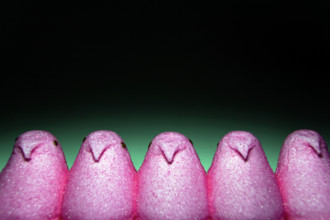 Marshmallow Chicks